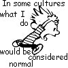 Calvin Hobbes